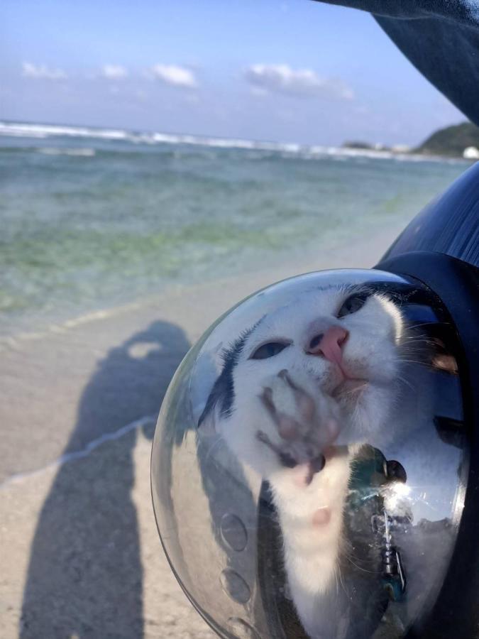 Green Island Good Sound エクステリア 写真