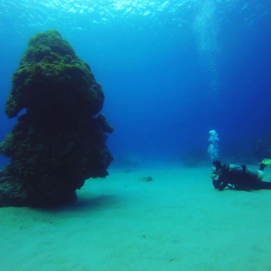 Green Island Good Sound エクステリア 写真
